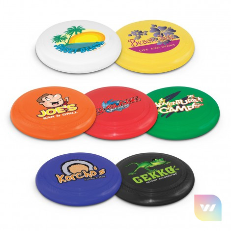 100186 - Small Flyer